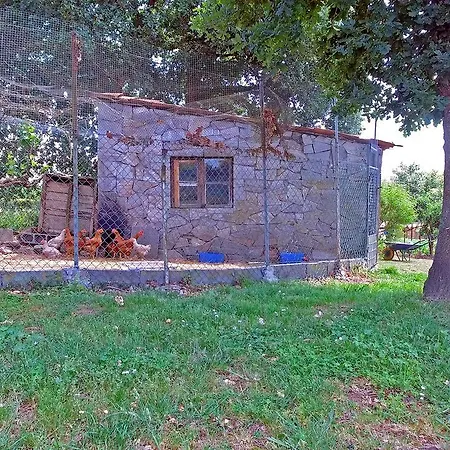 컨트리하우스 Torre Vilarino *