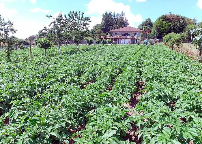 Torre Vilarino * Vilarino (Lugo)